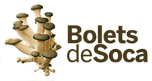 Bolets de Soca